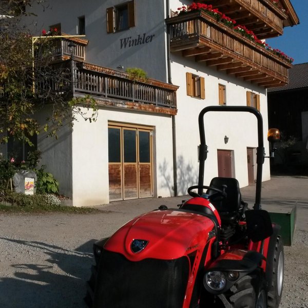 Fink Anton - Winklerhof Fink Anton - Winklerhof